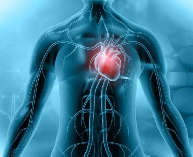 معدل النجاة من استئصال الغشاء التاموري