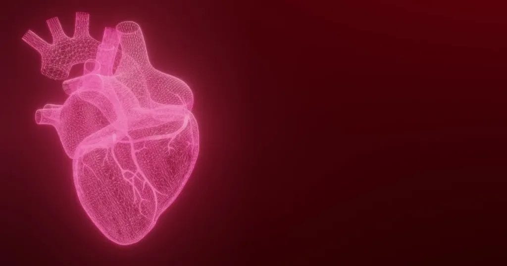 كيفية التعايش مع تضخم القلب