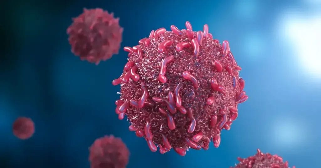 ما هو سرطان القلب