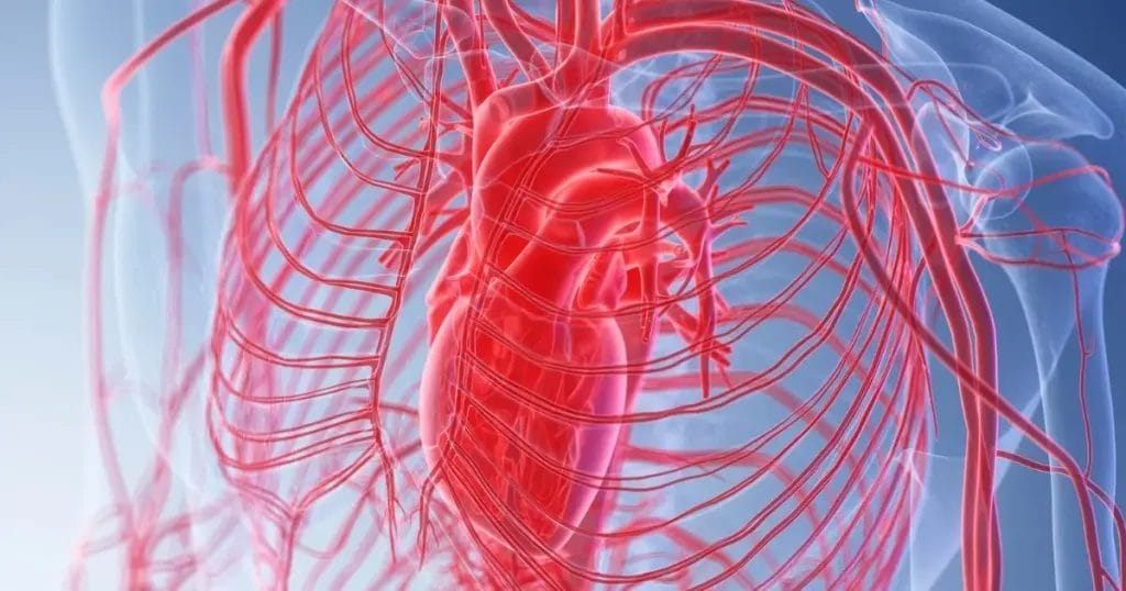  هل الذبحة الصدرية هي الجلطة