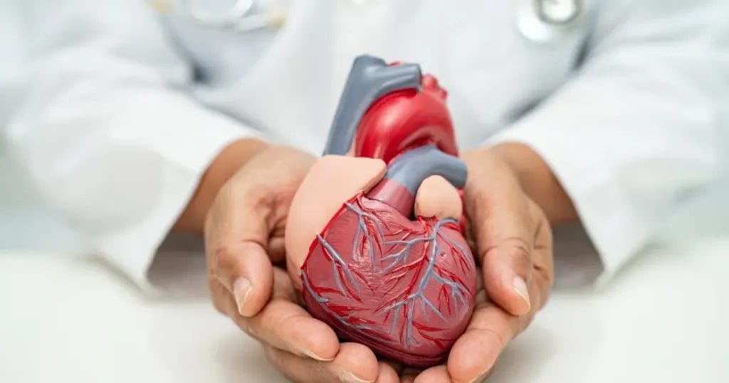 هل تتأثر العلاقة الزوجية بعد عملية القلب المفتوح؟