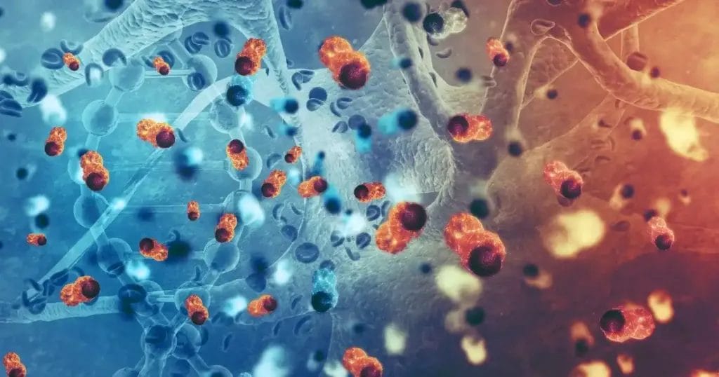 ما هي نسبة الشفاء من سرطان القلب