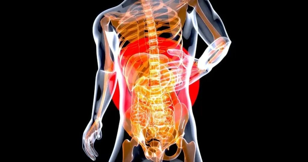 كيف نفرق بين وجع القلب والصدر؟