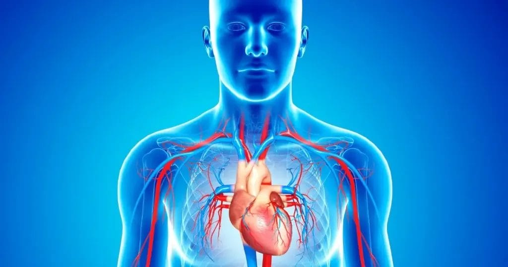 خطوات توسيع الصمام الميترالي بالبالون