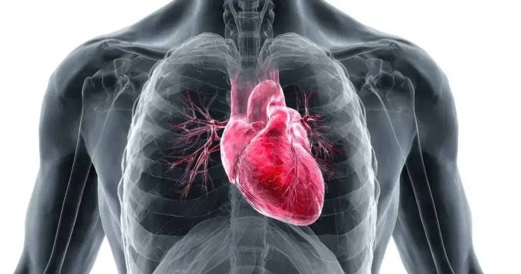 أسباب ضيق التنفس بعد عملية القلب المفتوح